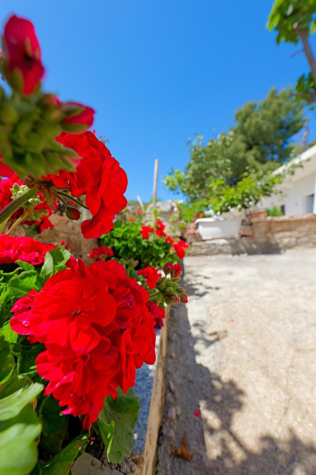 Flower Vila Саранда Экстерьер фото