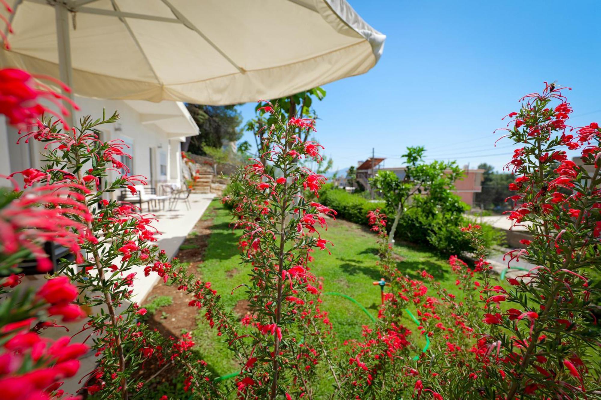 Flower Vila Саранда Экстерьер фото