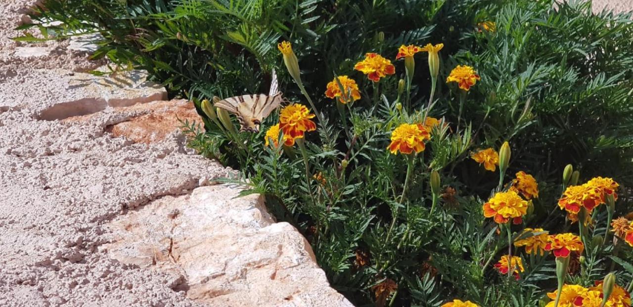 Flower Vila Саранда Экстерьер фото